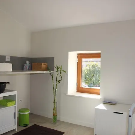 Grand duplex au calme en centre-ville Villefranche-sur-Saône Extérieur photo